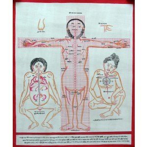 Tibetischer Medizin Yoga Thangka Nr. 6  40 x 49cm