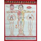 Tibetischer Medizin Yoga Thangka  Nr. 3  40 x 49cm